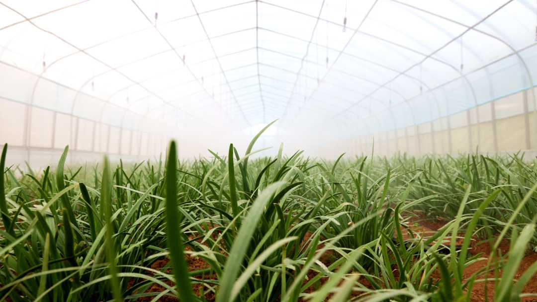 图片来源：经济日报