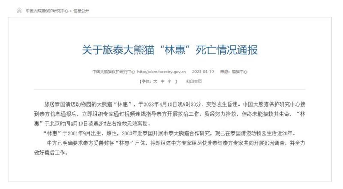 A旅泰大熊猫“林惠”死亡1.jpg