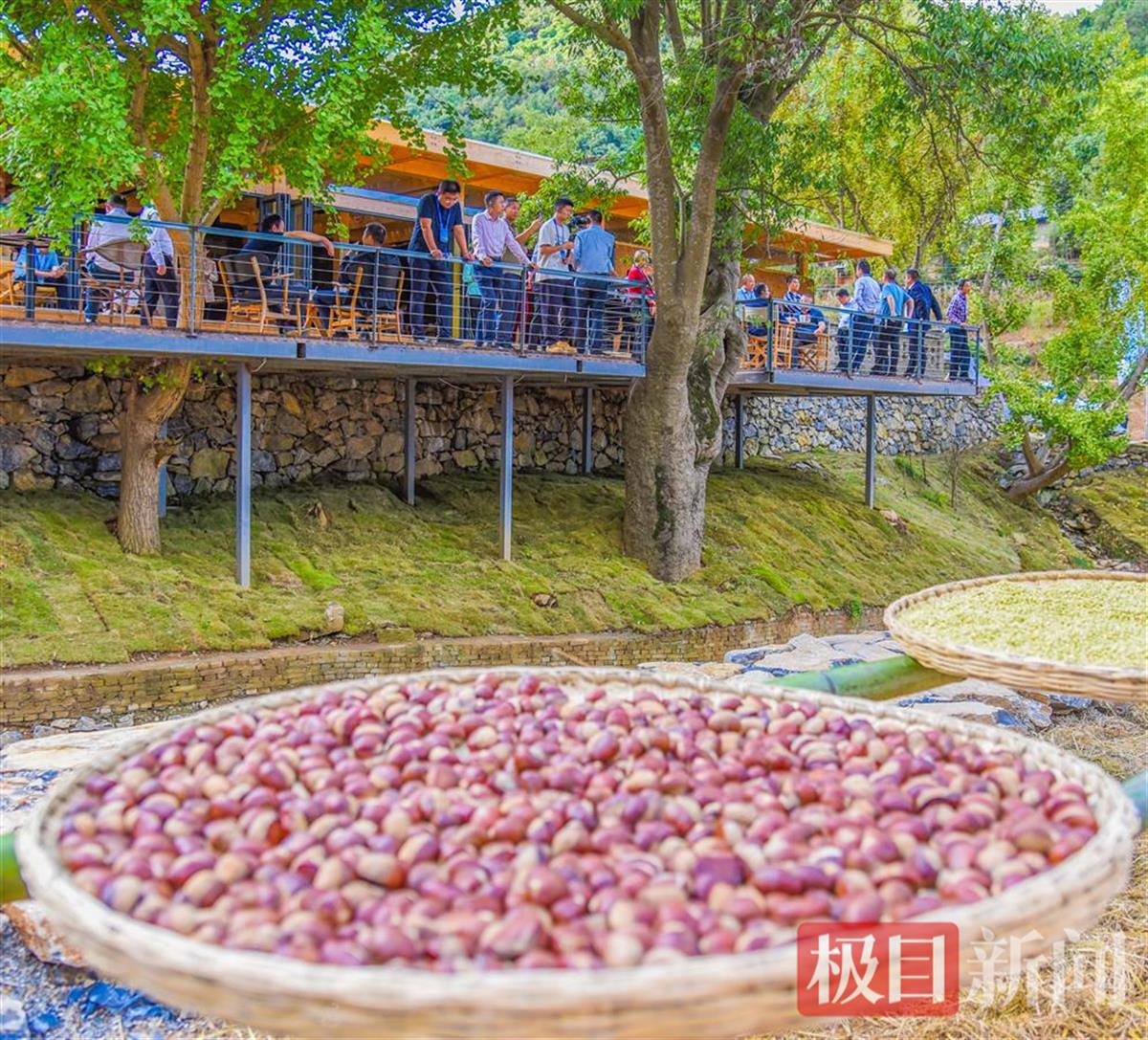 10月18日，随州市随县冬青泉畔晒秋景观。（极目新闻记者 黄志刚 摄）.jpg