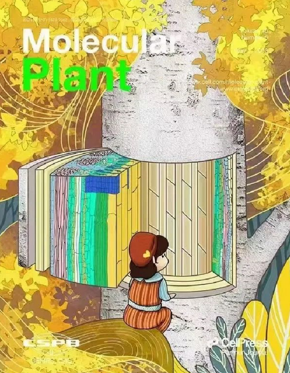 该项成果论文杂志封面：一个小朋友坐在树桩上观察并思考着百年寿命之久的树木茎的内部结构和生长过程。王浥尘绘制