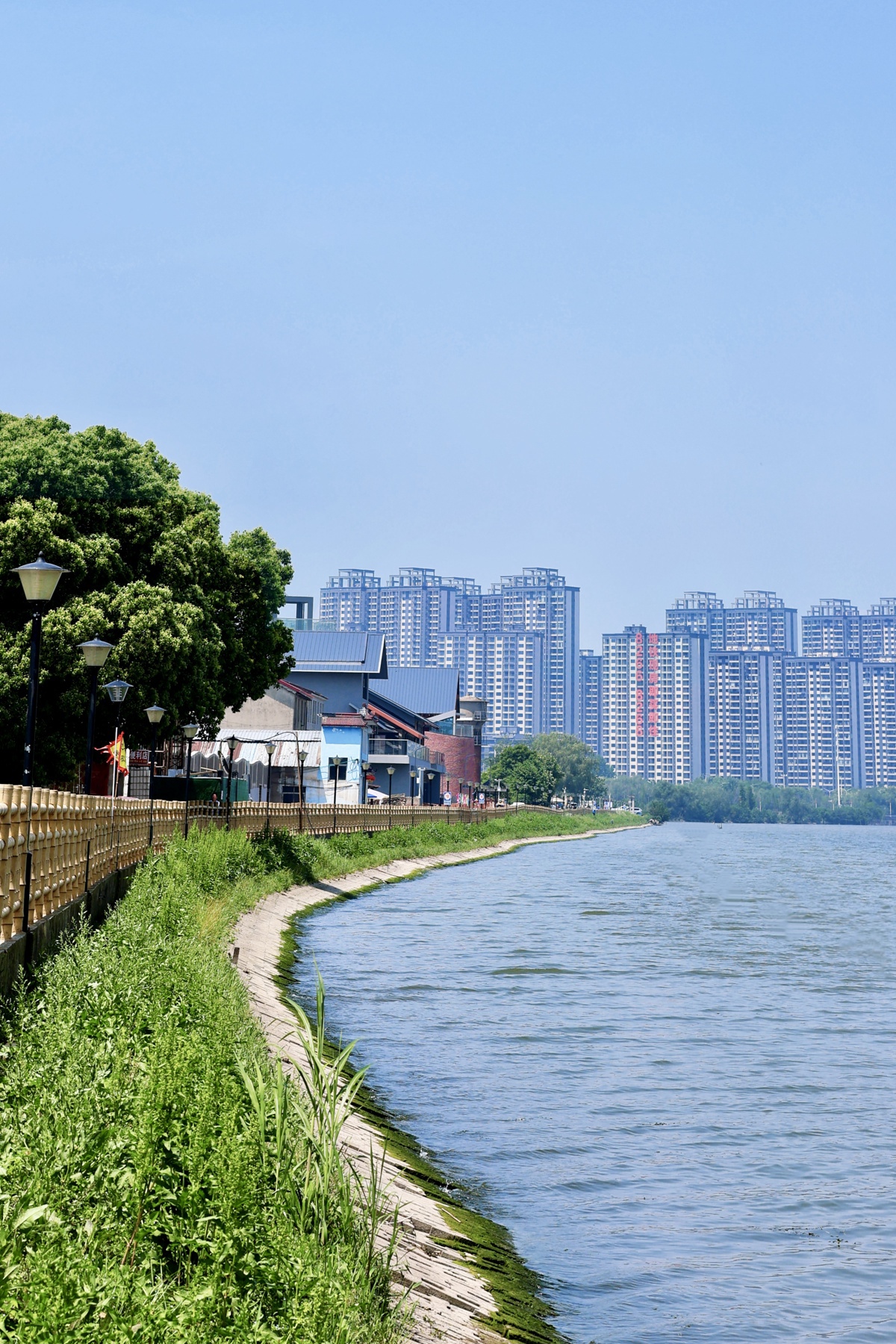 汤逊湖 吴佳璐1.jpg