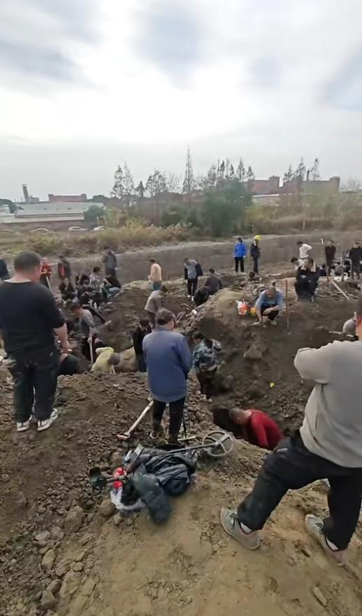 上海老宅挖银元引发热潮，目击者称挖掘出大量银元，现场出现转卖现象，多方回应