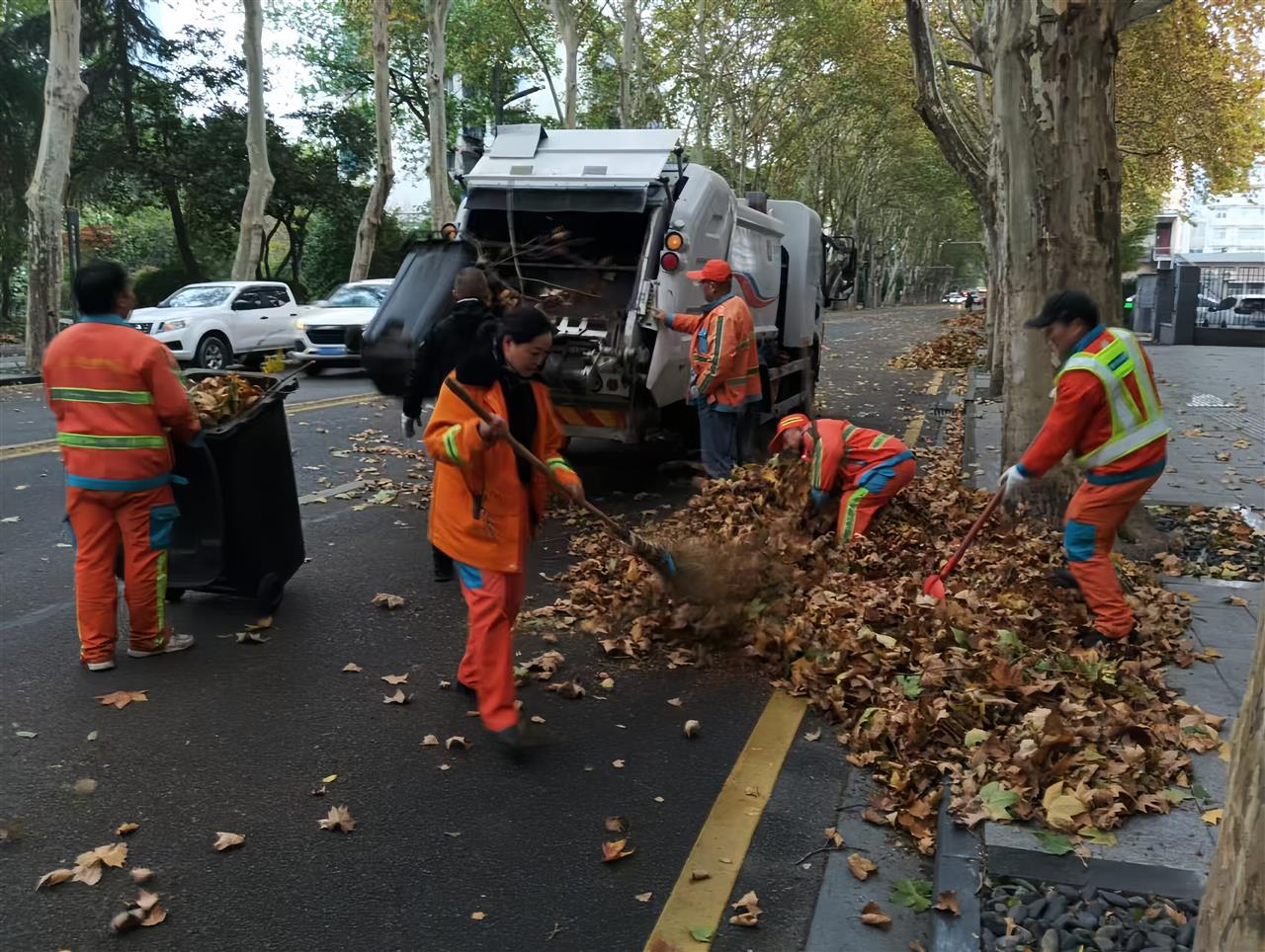 大风中，执法人员、环卫工人、社区志愿者共同清扫断枝落叶，维护路面整洁 (5).jpg