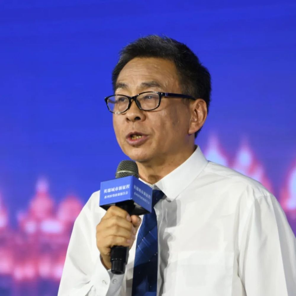 武汉大学动力与机械学院院长刘胜教授作报告。