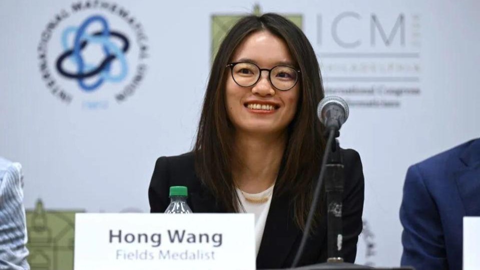 人民锐评：“王的猜想”击中了坚守的自我