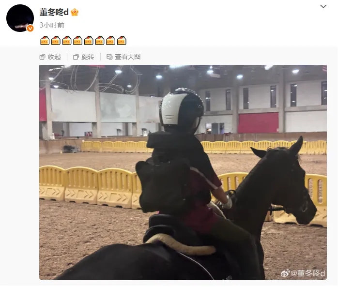 董子健晒女儿骑马照，配文8块蛋糕的表情包，为女儿“大福”庆祝8岁生日