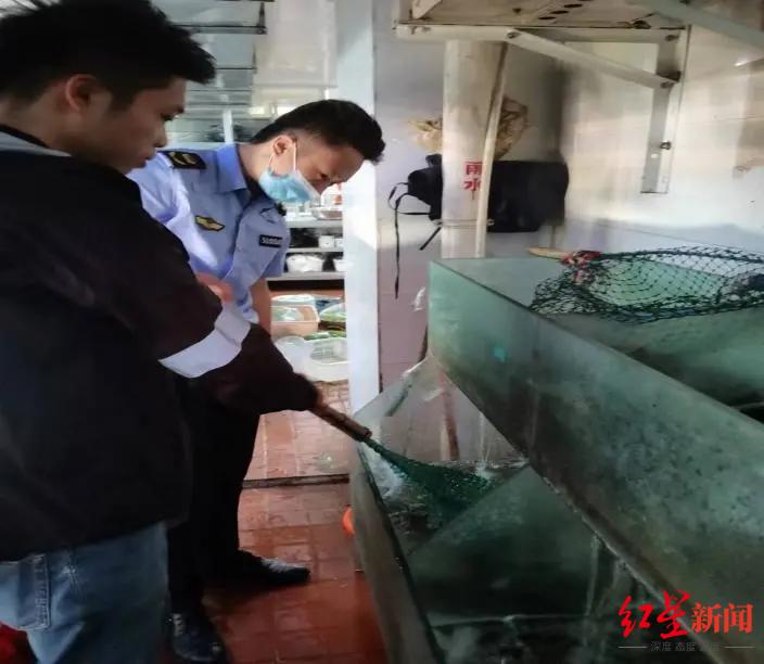 执法人员开展调查