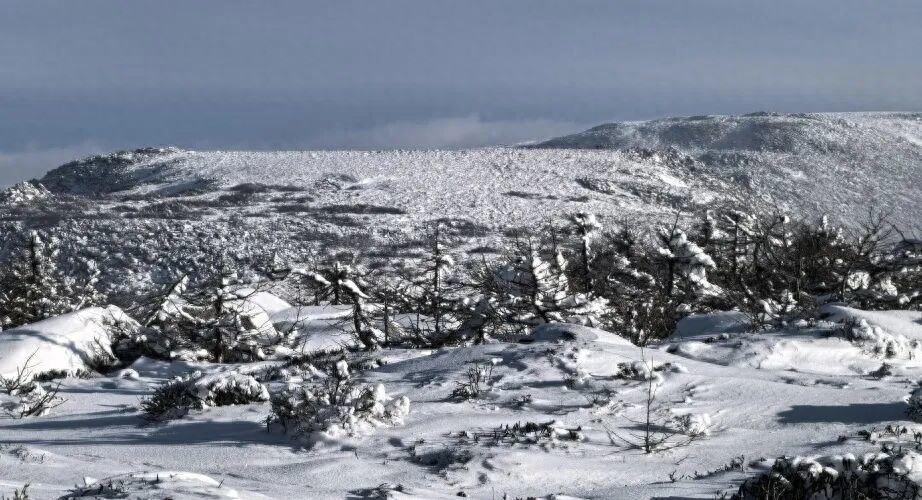 违规穿越鳌太线悲剧，一个规避罚款的决定导致三人丧命