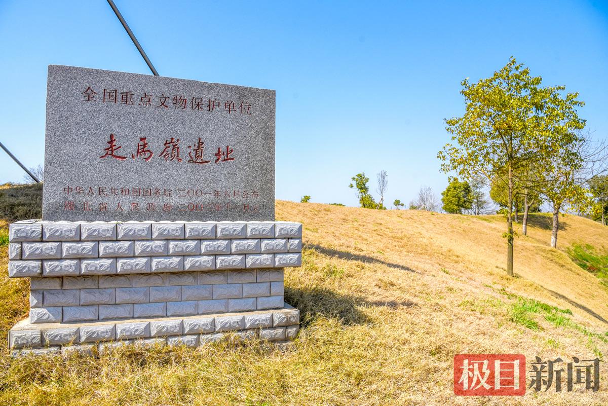 走马岭遗址已成为全国重点文物保护单位。（极目新闻记者 黄志刚 摄）.jpg