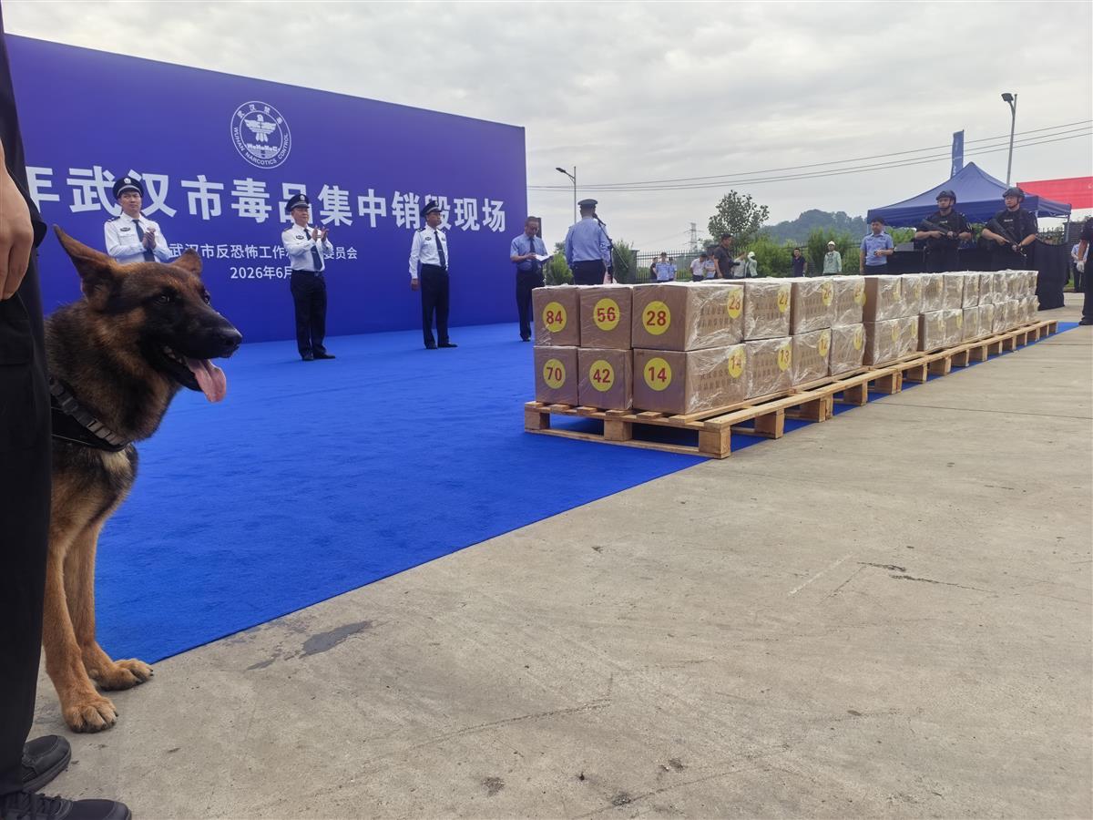 微信图片_202606031846261.jpg