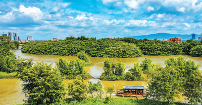 小鸟天堂国家湿地公园。受访者供图