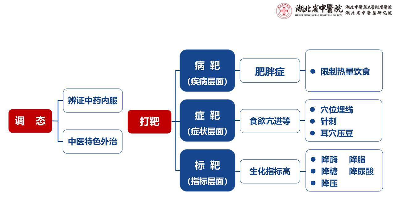 20230722态靶辨治理论在肥胖病中的临床实践_01.png