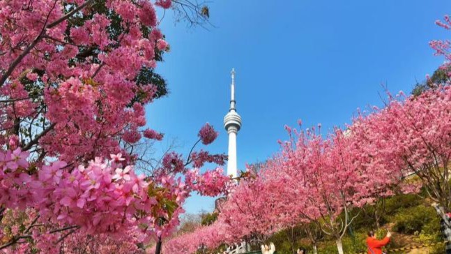 武汉聚力打造中部地区入境旅游首站城市