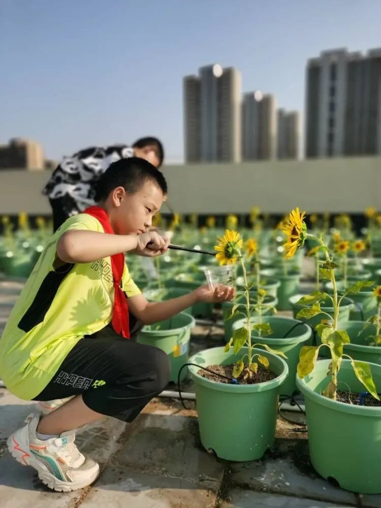 赵洲瑞 武汉经济技术开发区万家湖小学四（5）班