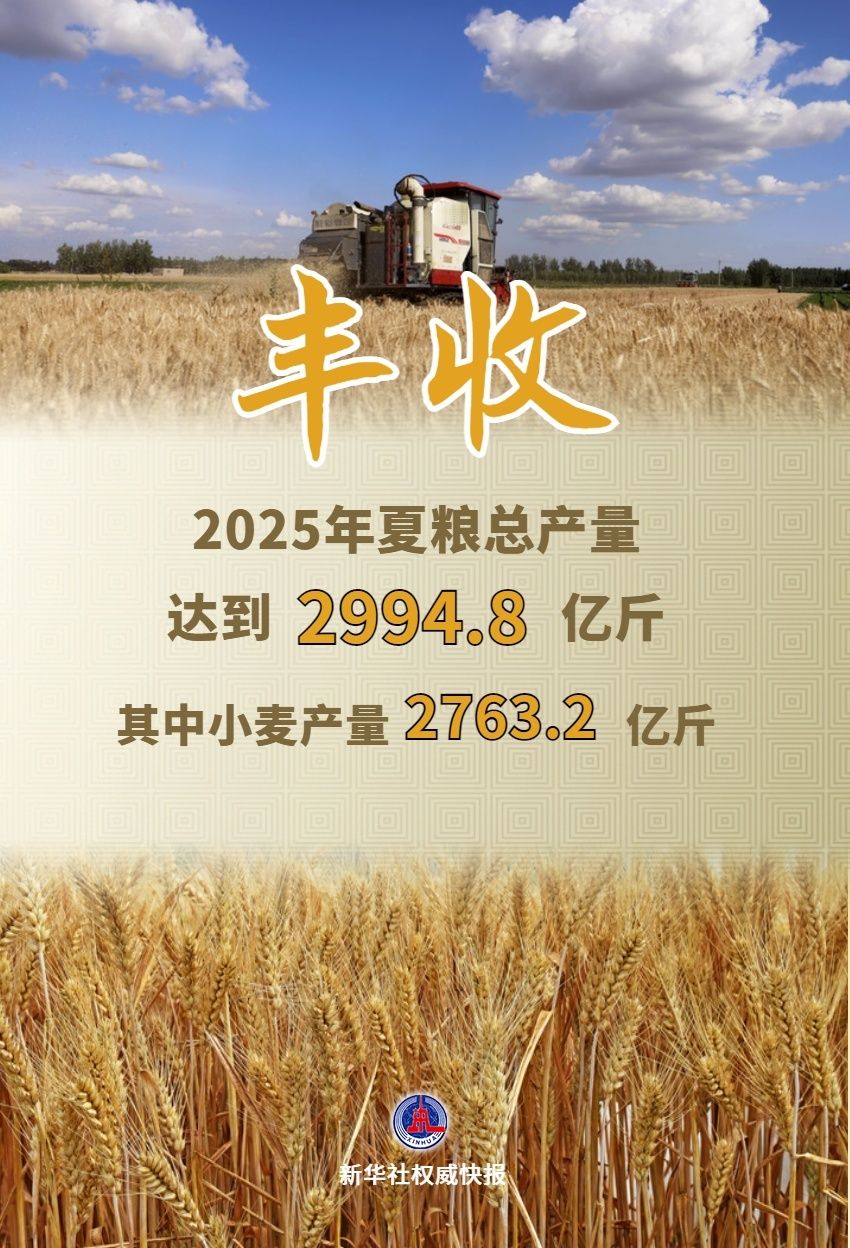 今年全国夏粮获得丰收 总产量达2994.8亿斤