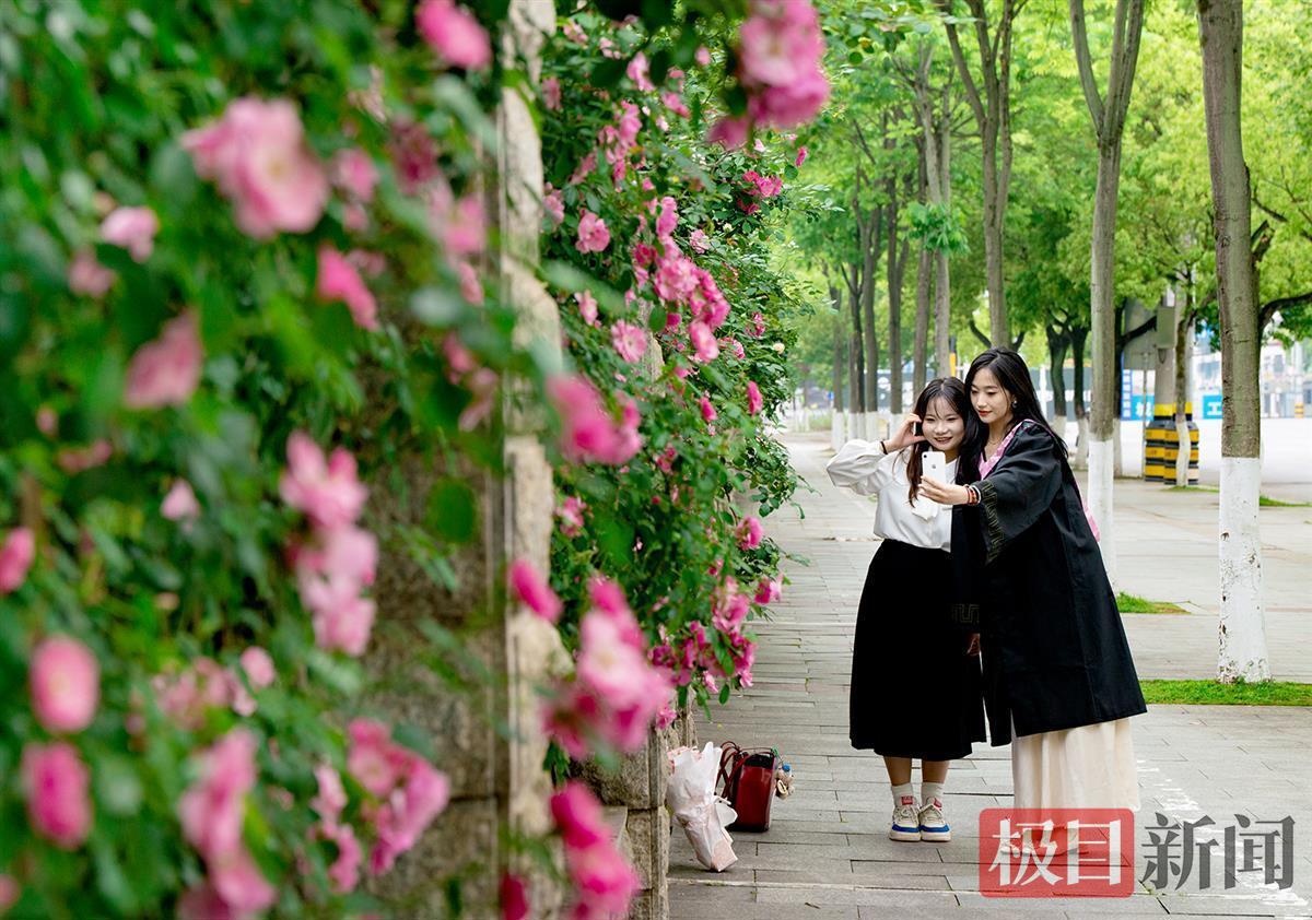 微信图片_20260515191928_38_1038.jpg