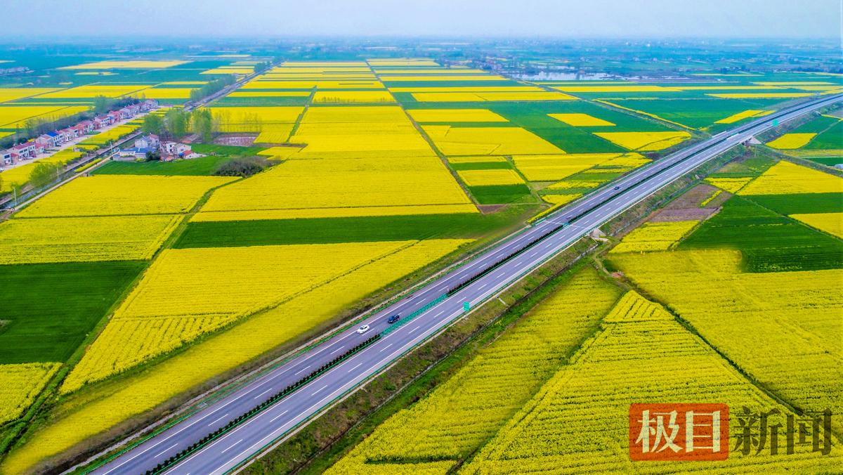 江陵县马家寨乡金港村油菜花海景观。（樊孝银 摄）.jpg