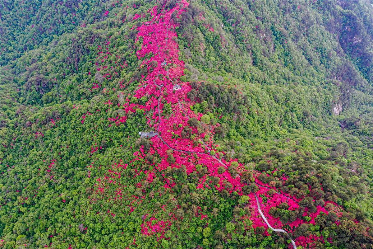 DJI_0349.jpg