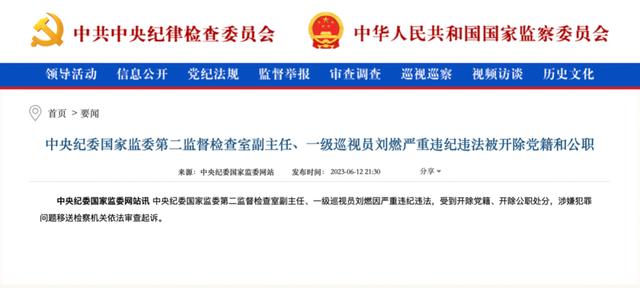 截图来源：中央纪委国家监委网站