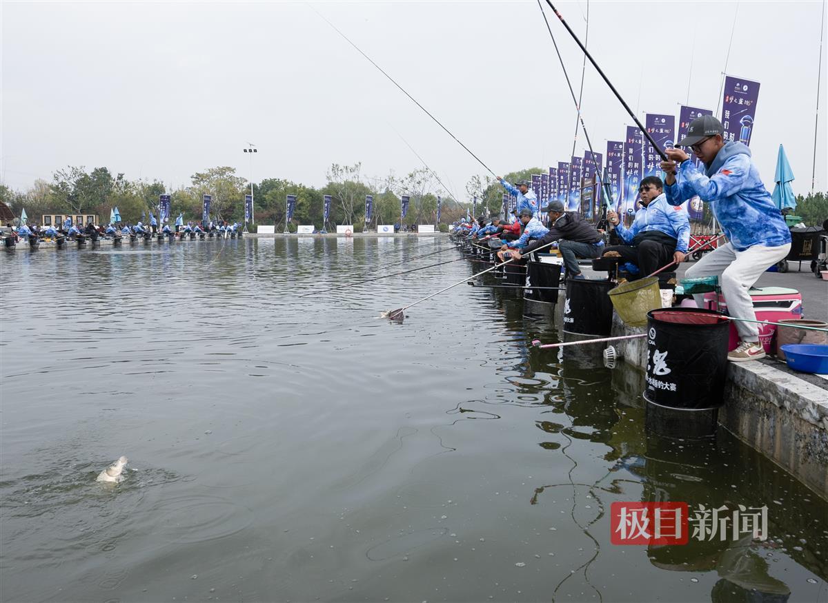 钓鱼比赛DSC_3466.jpg