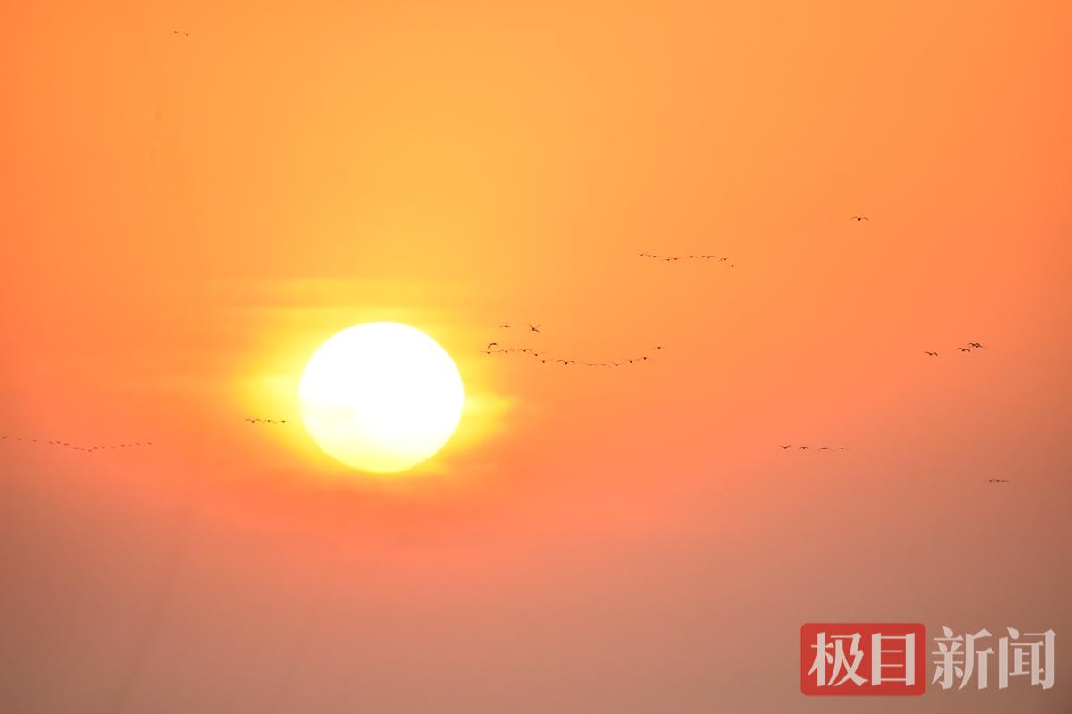 天鹅落日还 程伟 15926322818.JPG