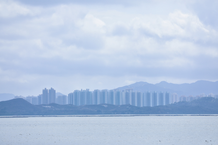 06 从深圳湾公园眺望对岸的香港。.jpg