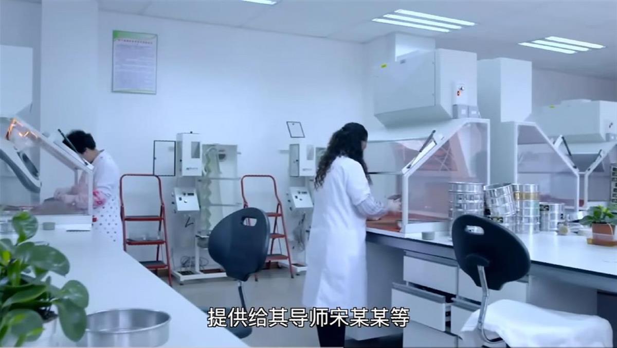 种子.jpg