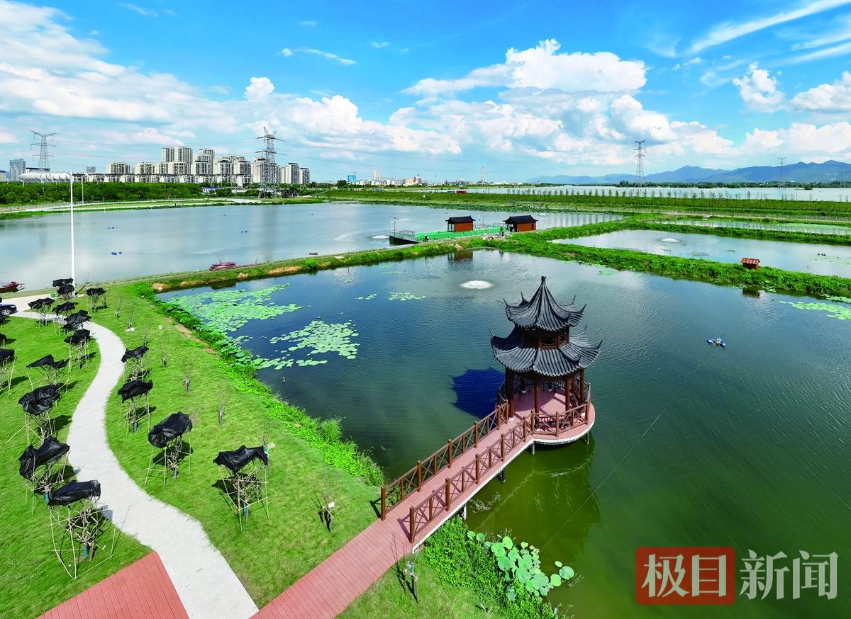 大冶湖畔的西塞桃花鳜鱼基地   石勇 摄.jpg