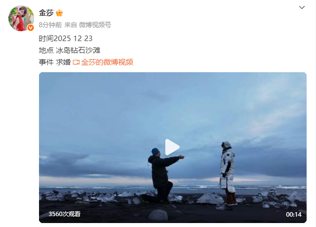 演员金莎晒视频宣布被男友孙丞潇求婚，两人相差19岁，于2023年9月公开恋情