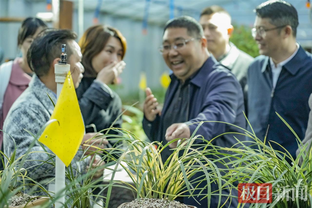 全国媒体探秘广水：党建“金钥匙”解锁乡村振兴的“广水样板” | 极目新闻