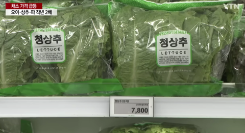韩国生菜涨到200韩元一片！烤肉店急了：一人限领5片