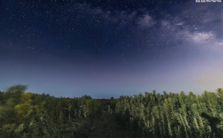 截屏2022-10-21 17.45.16.png