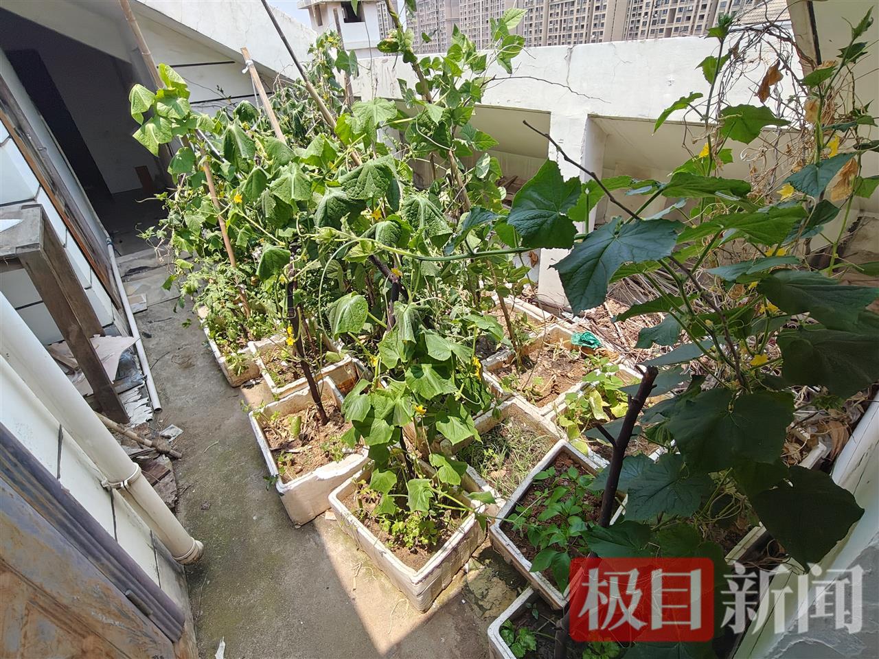 微信圖片_20250531125943.jpg