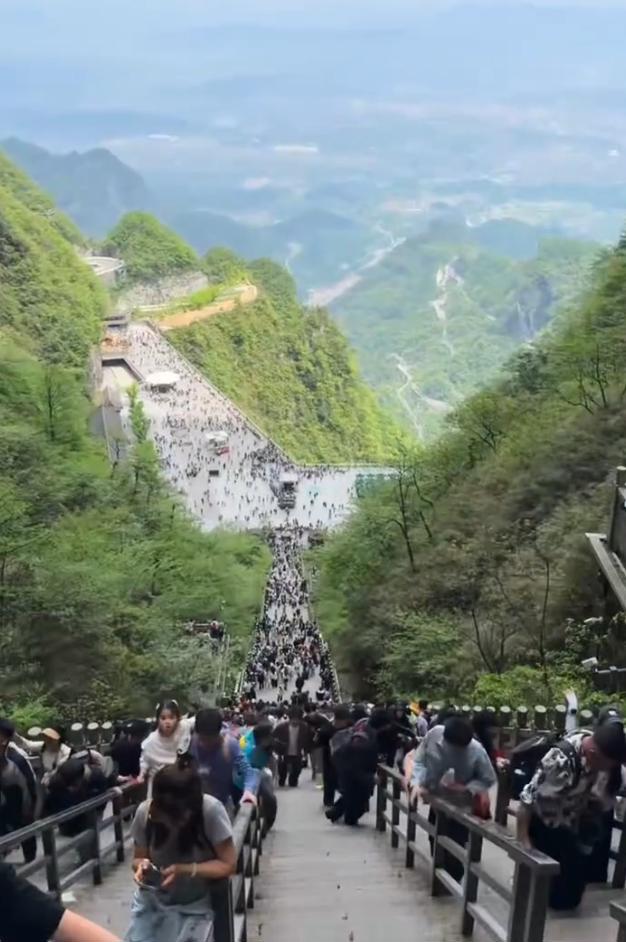 QQ20260502-123846.png