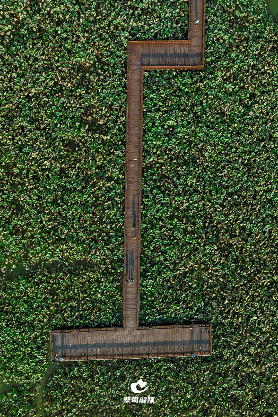 后官湖人行步道