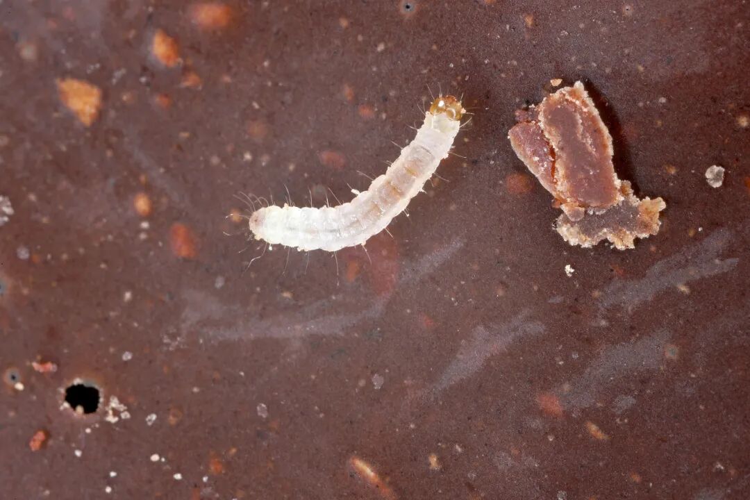 VCG41N2149274604.jpg