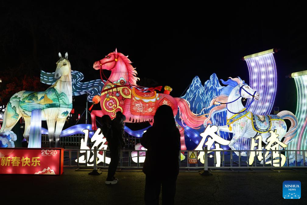 Lantern fair celebrating upcoming Chinese New Year held in Lanzhou ...