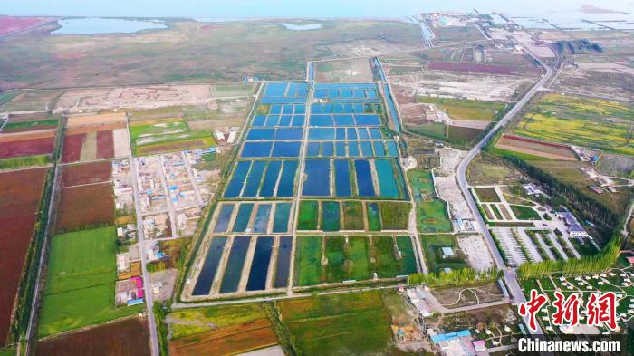 博湖县乌兰再格森乡的水产养殖基地。　 董柱岑 摄