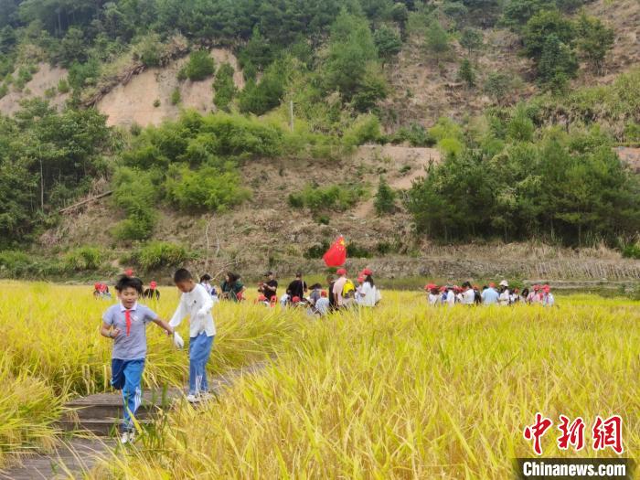 屏南县寿山乡白玉村亲子农事体验活动。　叶婉清 摄