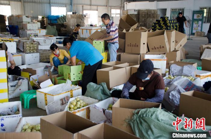 工人在打包百香果。