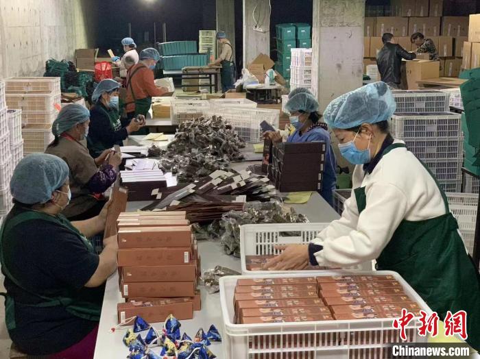 长粽“共富工坊” 中共遂昌县委组织部供图