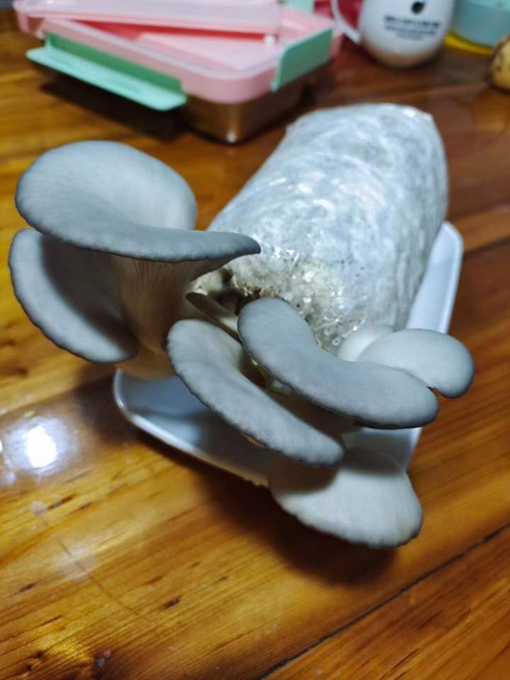 微信图片_20221125075649.jpg 微信图片_20221125075649.jpg