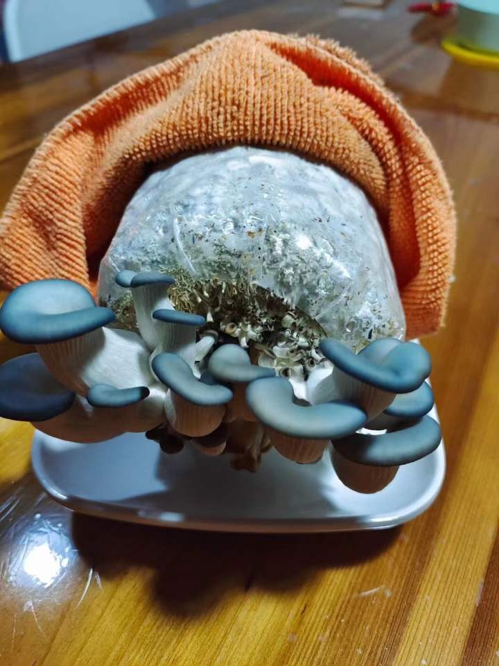 微信图片_20221125075653.jpg 微信图片_20221125075653.jpg