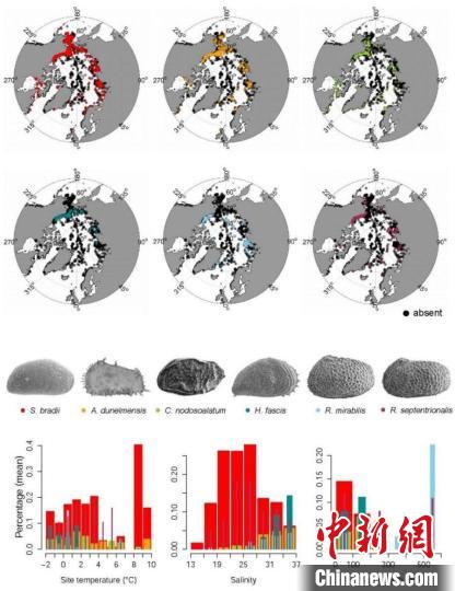 该研究发现的北极介形虫分布范围以及生活环境。　南古所 供图