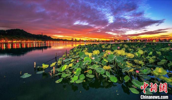 西湖风光 马立群 摄