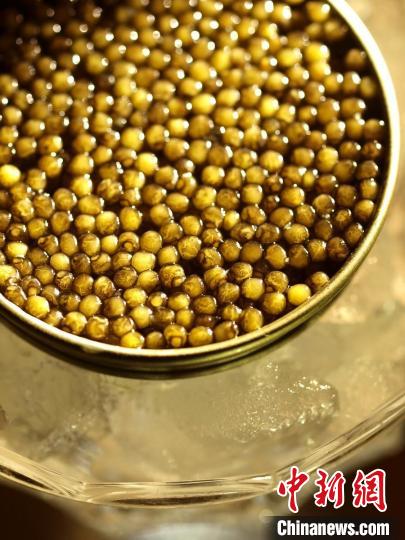 产自浙江衢州的鲟鱼子酱。　夏永涛 供图