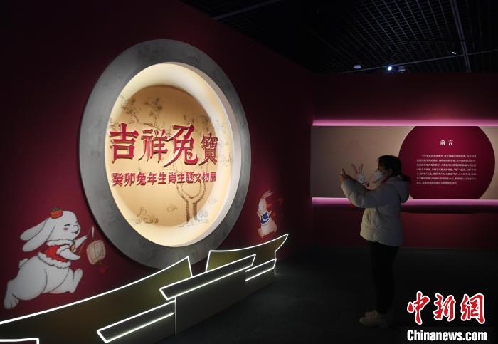 即将推出的“吉祥兔宝——癸卯兔年生肖主题文物展”现场。　安源 摄