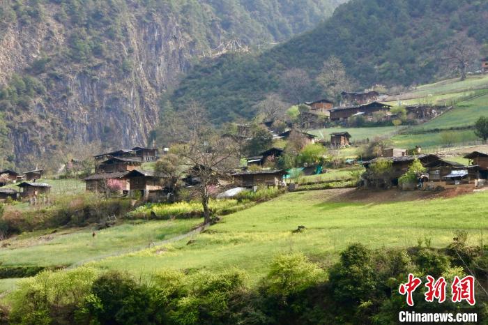 图为位于丙中洛镇北面的雾里村，一座座高脚木楼(木楞房)依山而建。　罗婕 摄