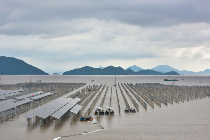 三门：滩涂光伏电站建设酣_fororder_1683494677006_64581715d3e83800018e4b0f