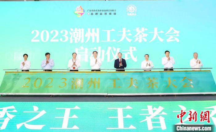 大会启动仪式 大会主办方 供图